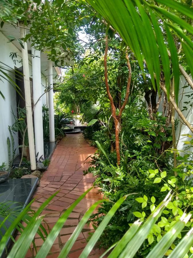 Guesthouse Mata Da Praia 维多利亚 外观 照片