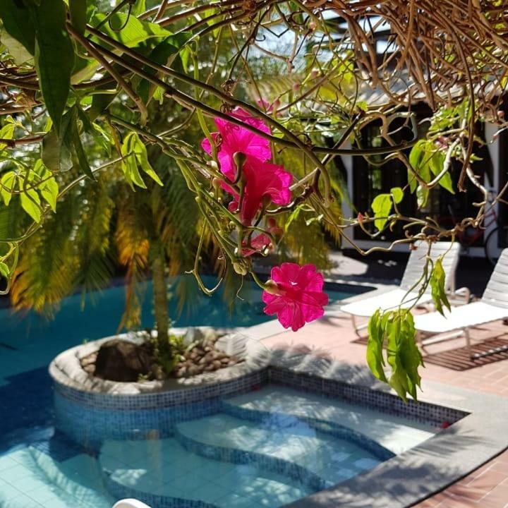 Guesthouse Mata Da Praia 维多利亚 外观 照片